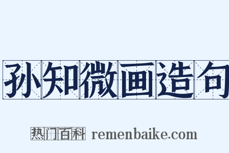 孙知微画造句是什么意思的图片